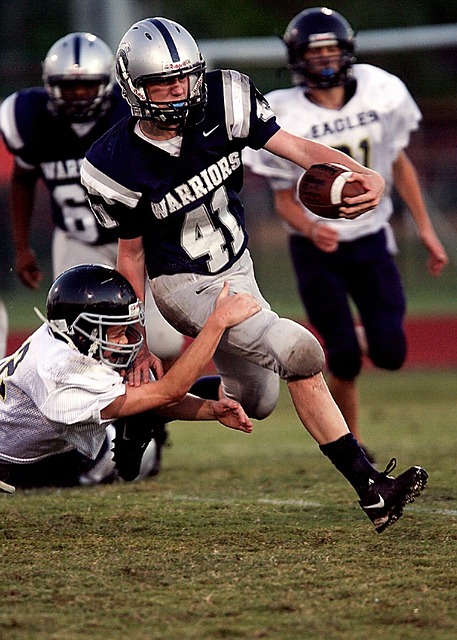 寻求反击的 寻求反击的