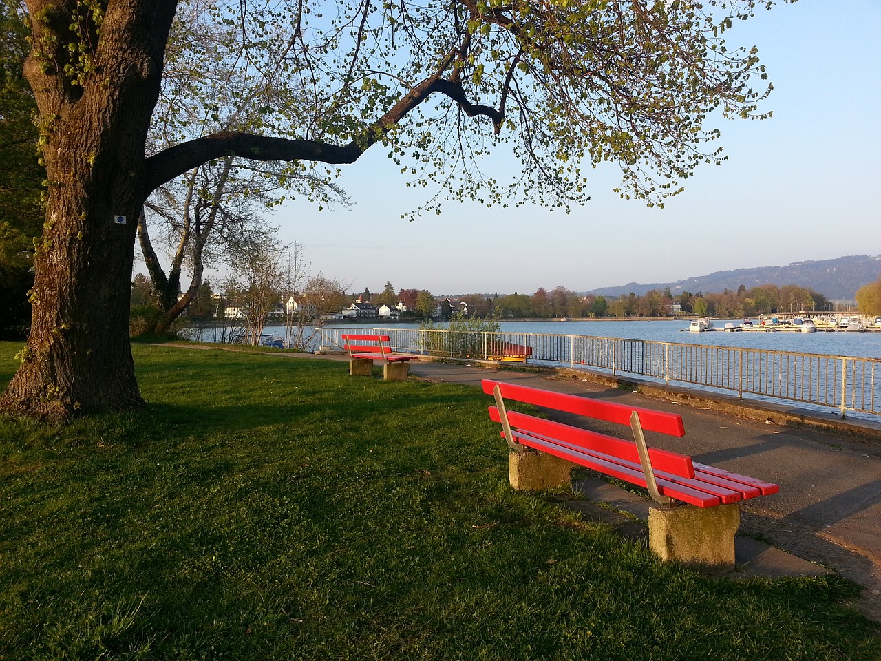 仅体现在进 仅体现在进