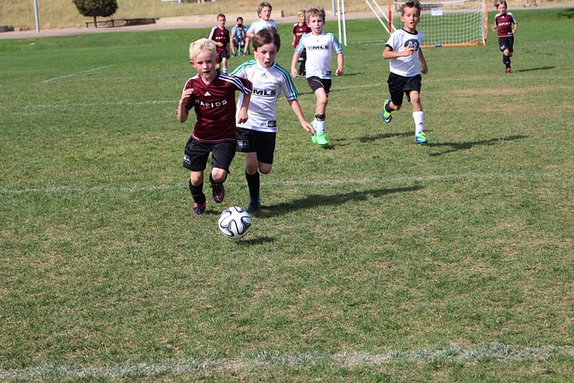 亚历山大还 亚历山大还